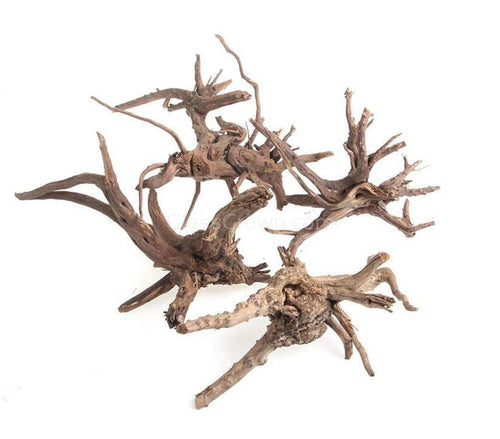 Spiderwood Driftwood Small (4-6)