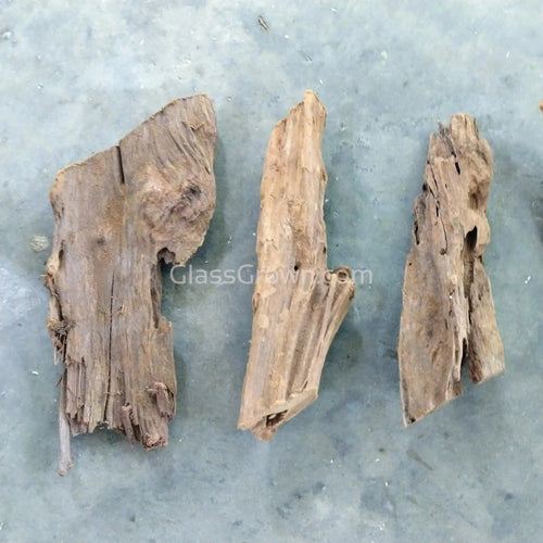 Malaysian Driftwood Small (5-7)