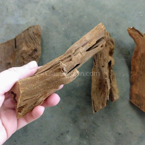 Malaysian Driftwood Small (5-7)