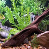 Malaysian Driftwood Small (5-7)