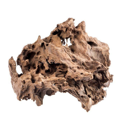 Mopane Congo Driftwood Small (6-10)