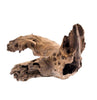 Mopane Congo Driftwood Small (6-10)