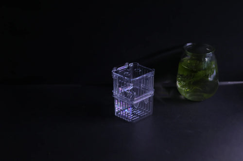Guppy Breeder Box (Small)