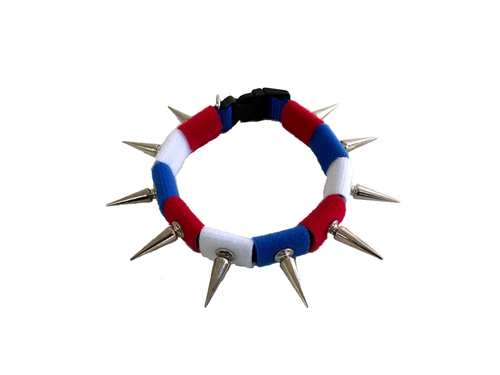CoyoteCollar