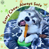 SafetyChew Small Dog Starter Pack: Pin-Lock Bully Stick Holder +  All-Natural Bully Sticks for Dogs Under 16lbs