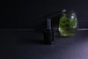 Sponge Filter (Up to 10 Gallon Aquarium)