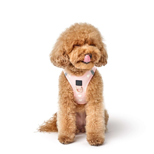 SoHo Dog Harness - Sweetheart