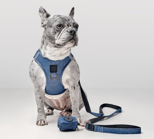 SoHo Dog Harness - Denim