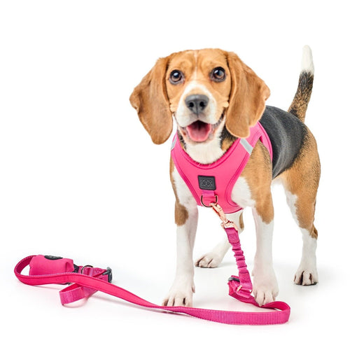 Poop Bag Holder - Park Ave Pink