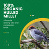 Organic Hulled Millet - 5 lbs.