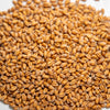 Soft Red Winter Wheat Seed, Organic, Glyphosate Free, Non GMO