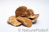 Sponge Mushroom Caps