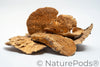 Sponge Mushroom Caps
