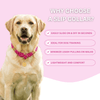 Tan Stylish Rope Slip Collar - Glow Pups