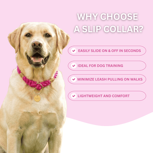 Tan Stylish Rope Slip Collar - Glow Pups