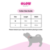 Grey Stylish Rope Slip Collar - Glow Pups