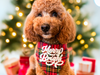 Merry and Bright Reversible Dog Bandana