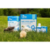 Complete Baby Chick Starter Kit – Everything You Need for Raising Healthy Chicks