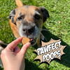 Crunchy Dog Biscuit Variety Bundle, 4-Pack