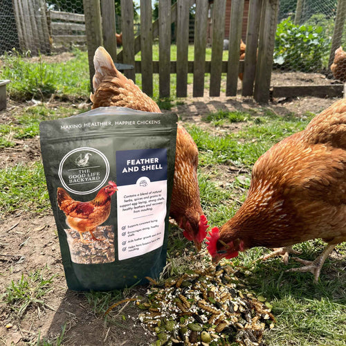Feather and Shell – Calci-Protein Blend