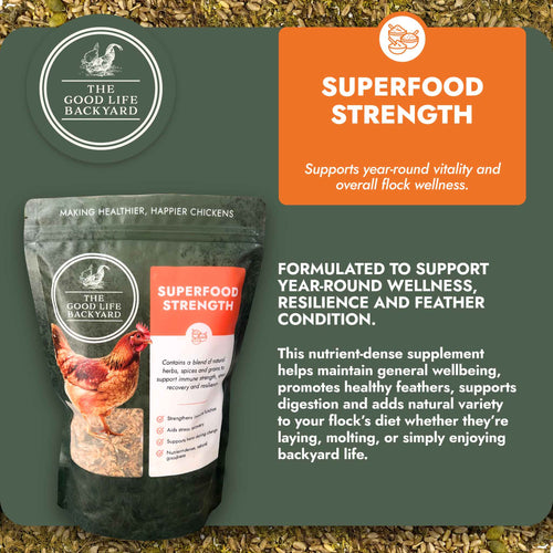 Superfood Strength – General Wellbeing