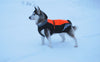 TrueLove Mt. Tallac Winter Dog Coat TLG2371 - Waterproof with 3M Scotchlite Reflective