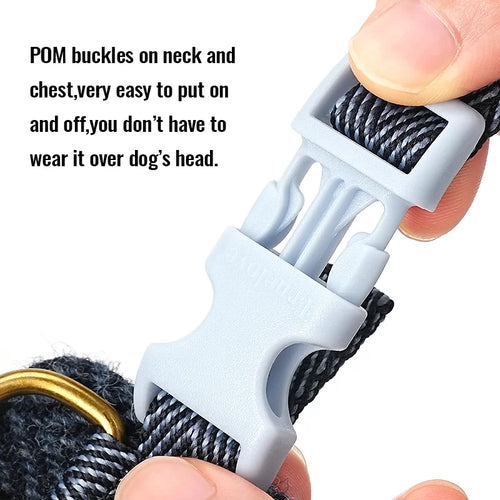 TrueLove Comfort Harness, Leash, and Poop Bag Dispenser TLH2912