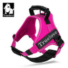 TrueLove Outdoor Adventure Dog Harness  Model Number: TLH5753