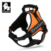 TrueLove Outdoor Adventure Dog Harness  Model Number: TLH5753