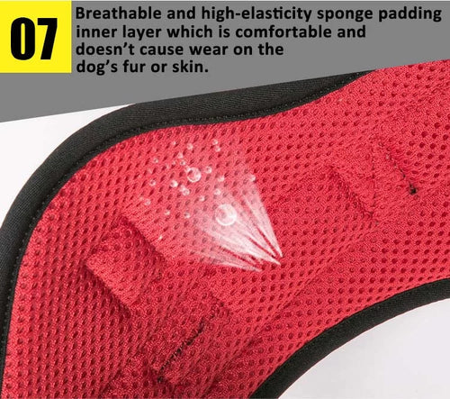TrueLove Outdoor Adventure Dog Harness  Model Number: TLH5753