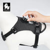 TrueLove Dog Harness with Light TLH6771