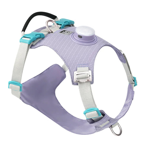 TrueLove Dog Harness with Light TLH6771