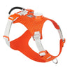 TrueLove Dog Harness with Light TLH6771