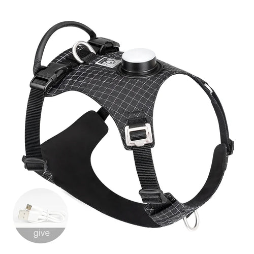 TrueLove Dog Harness with Light TLH6771