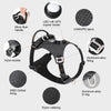TrueLove Dog Harness with Light TLH6771