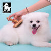 TrueLove Pet Hair Brush TLK20131