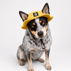 The WildFisher Hat