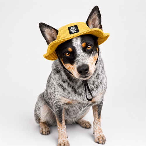 The WildFisher Hat