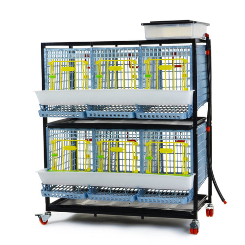 Chicken Cage - 2 Layer H: 15