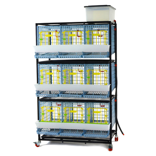 Chicken Cage - 3 Layer H: 15