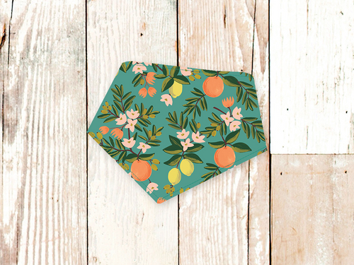 Teal Citrus Dog Bandana
