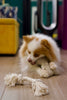Boba & Vespa Natural Dog Toy Bundle in Cotton and Hemp (+ FREE Poop Bag Holder)