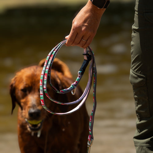 Adjustable Hands-Free Tether Leash 1''