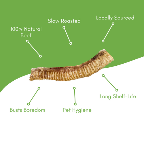12 Beef Trachea Dog Chew