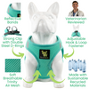 EcoBark Step In Dog Harness - XXXS to Small Breeds- Reflective Soft Mesh Harness for Teacup, Small Dogs and Puppies / Mint Turquoise