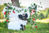 Royal Paws Tiara Veil Pet Royal Dog Accessories