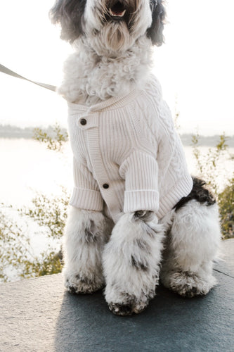 Brooklyn Cashmere Cardigan, Ivory