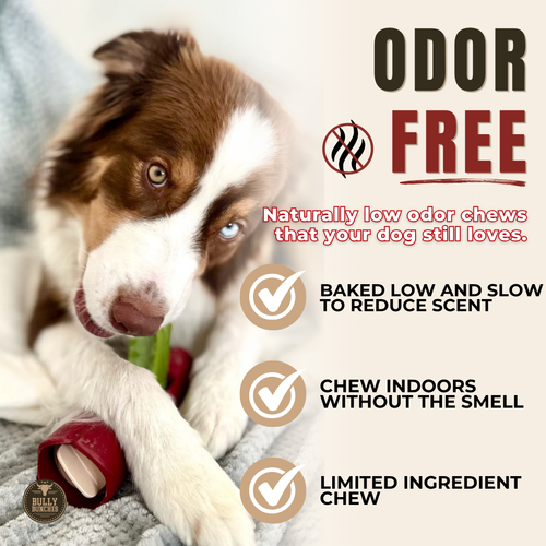 Himalayan Yak Chew Flavor Pack