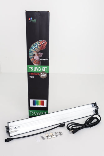 Size 24: 24x24x48 Essential Chameleon Kit