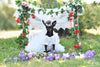 Royal Paws Tiara Veil Pet Royal Dog Accessories